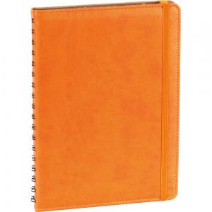 Gizli Spiralli Ajanda Kapağı ( 17 x 24 cm )